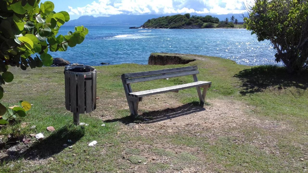Le Studio Oncle Sam - Acces Piscine Et Plage Le Gosier  Dış mekan fotoğraf
